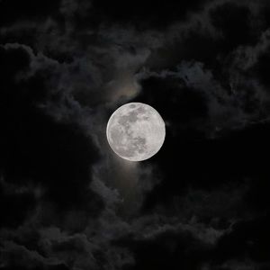 Meet your Posher, Vicky